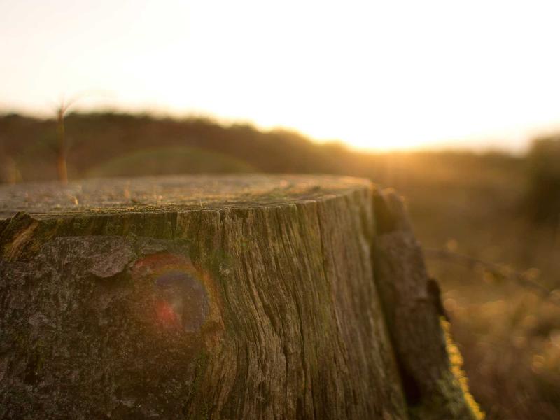 sudoku tablet version