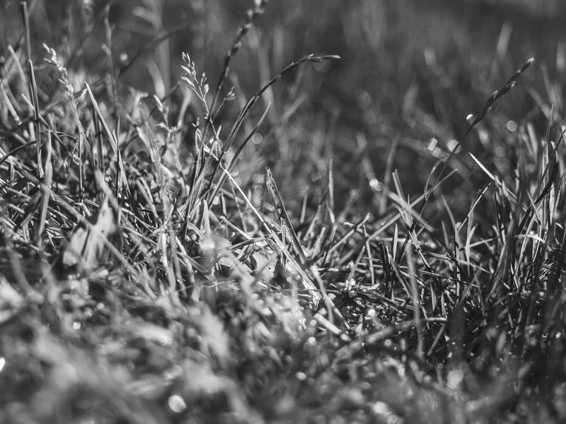 sudoku logic solving screenshot 5